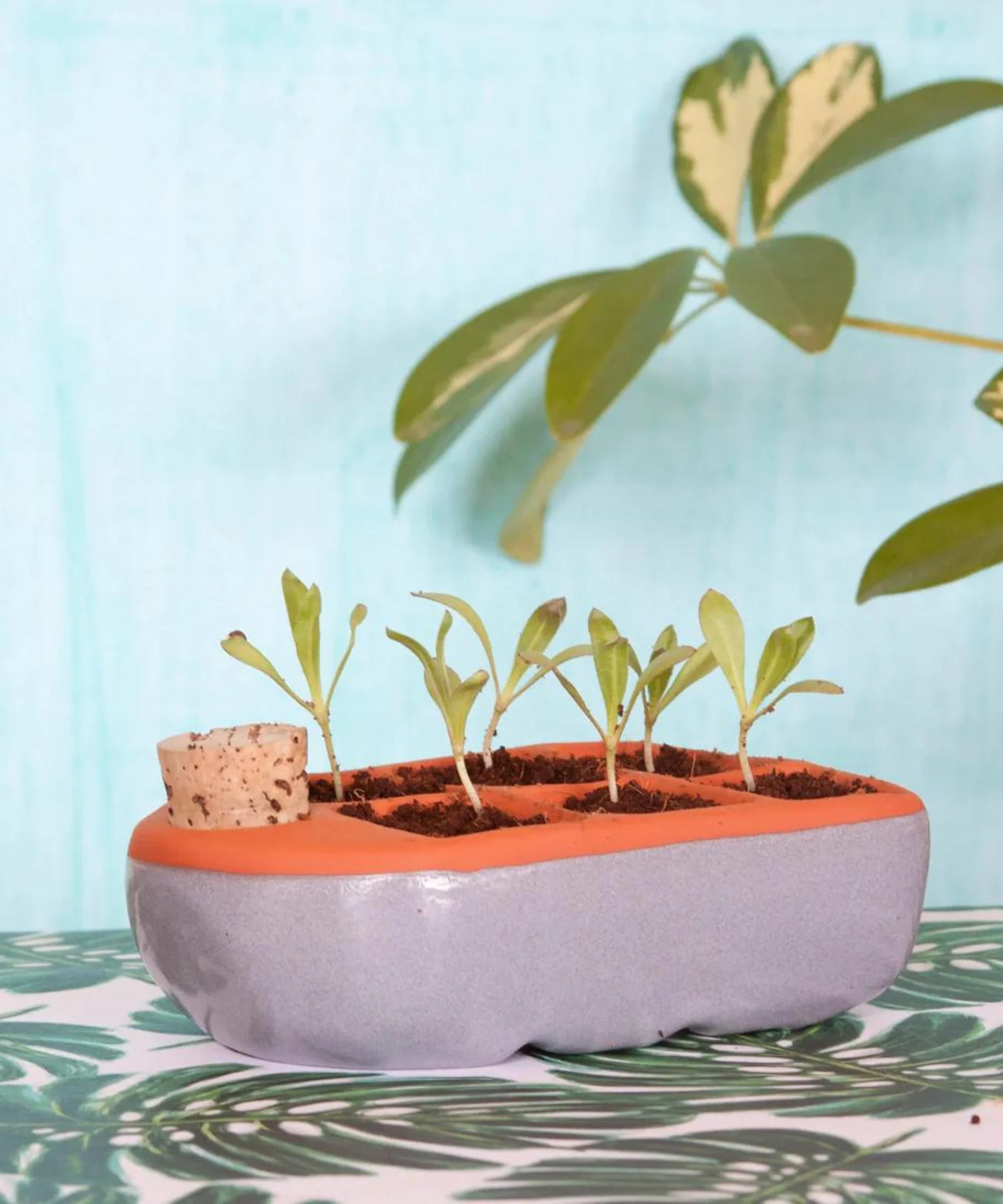 Pots, Planters & Soil